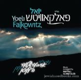Yoeli Falkowitz - Nor Di Aibishter (CD)